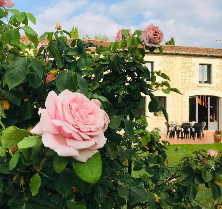 Gite Au Boom Coeur En Options Spa Et Repas Tourtenay エクステリア 写真
