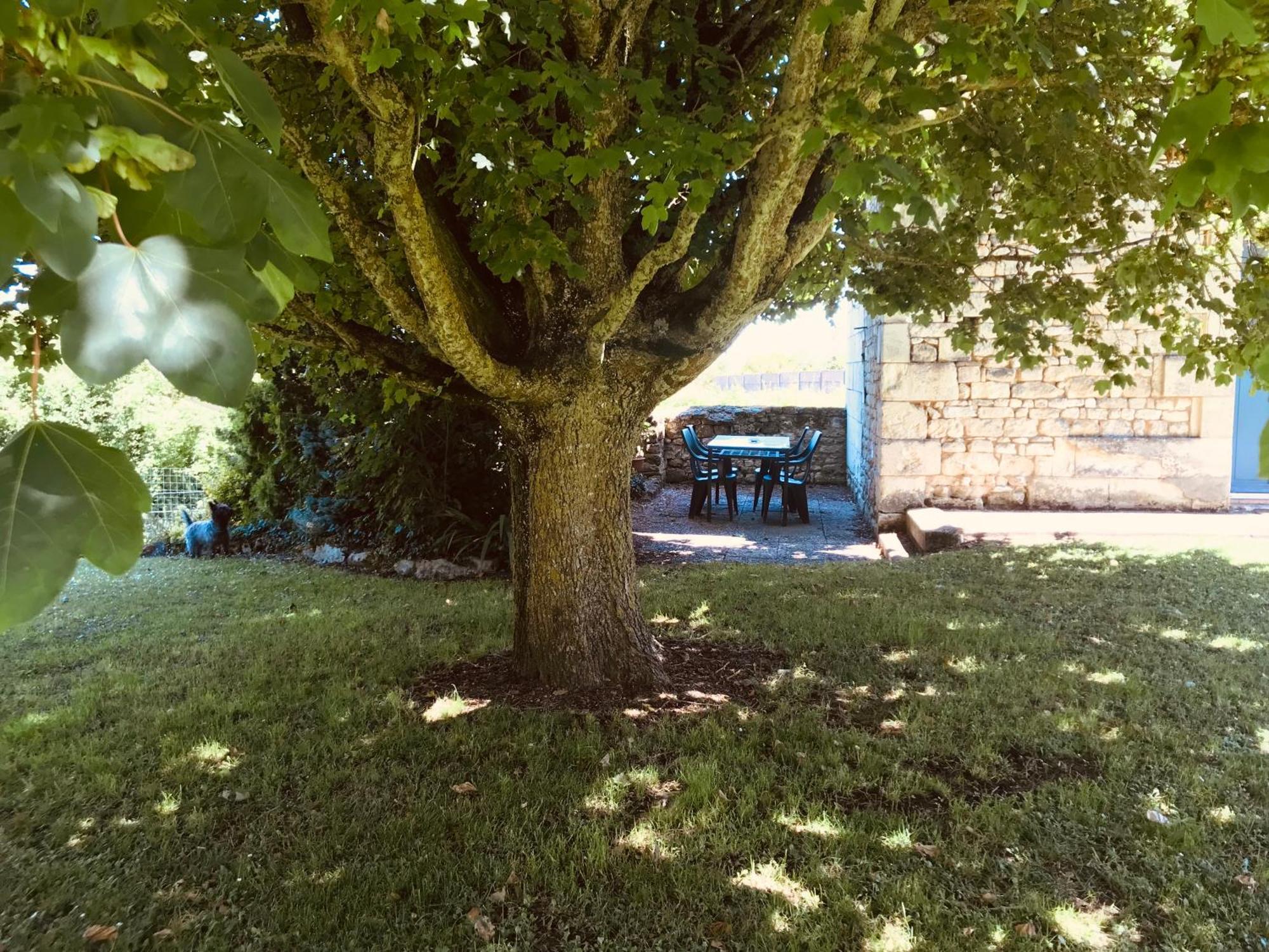 Gite Au Boom Coeur En Options Spa Et Repas Tourtenay エクステリア 写真
